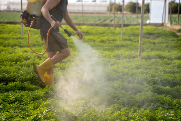 Best Affordable Pest Control Services  in North Hobbs, NM