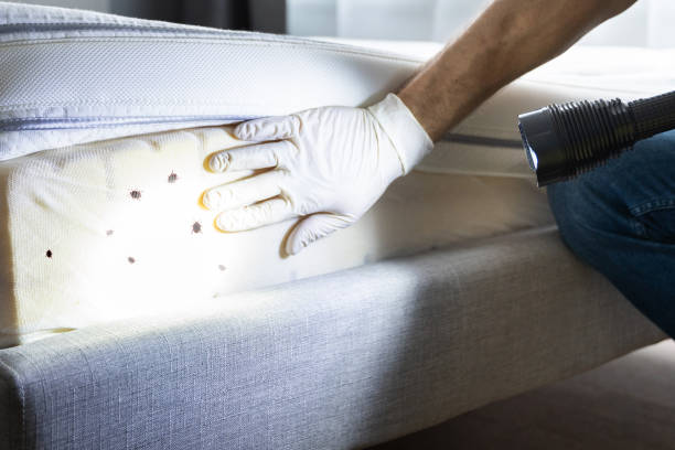 Best Best Pest Control Companies  in North Hobbs, NM