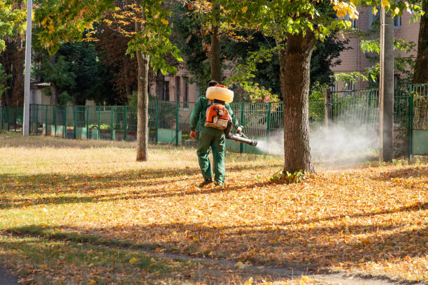 Best Exterminator Services  in North Hobbs, NM