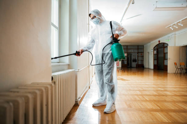 Best Flea Control Services  in North Hobbs, NM