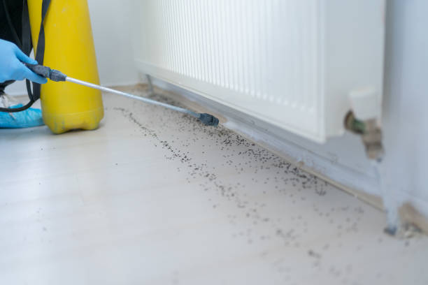 Best Best Pest Control Companies  in North Hobbs, NM