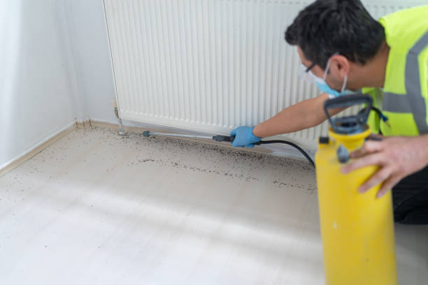 Best Termite Control Services  in North Hobbs, NM