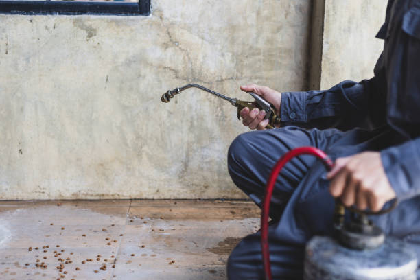 Best Wasp Removal Services  in North Hobbs, NM